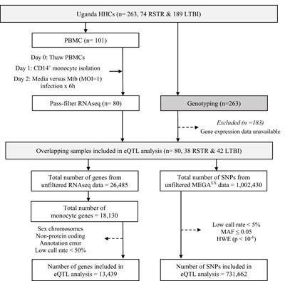 Mycobacterium tuberculosis-dependent monocyte expression quantitative trait loci, cytokine production, and TB pathogenesis